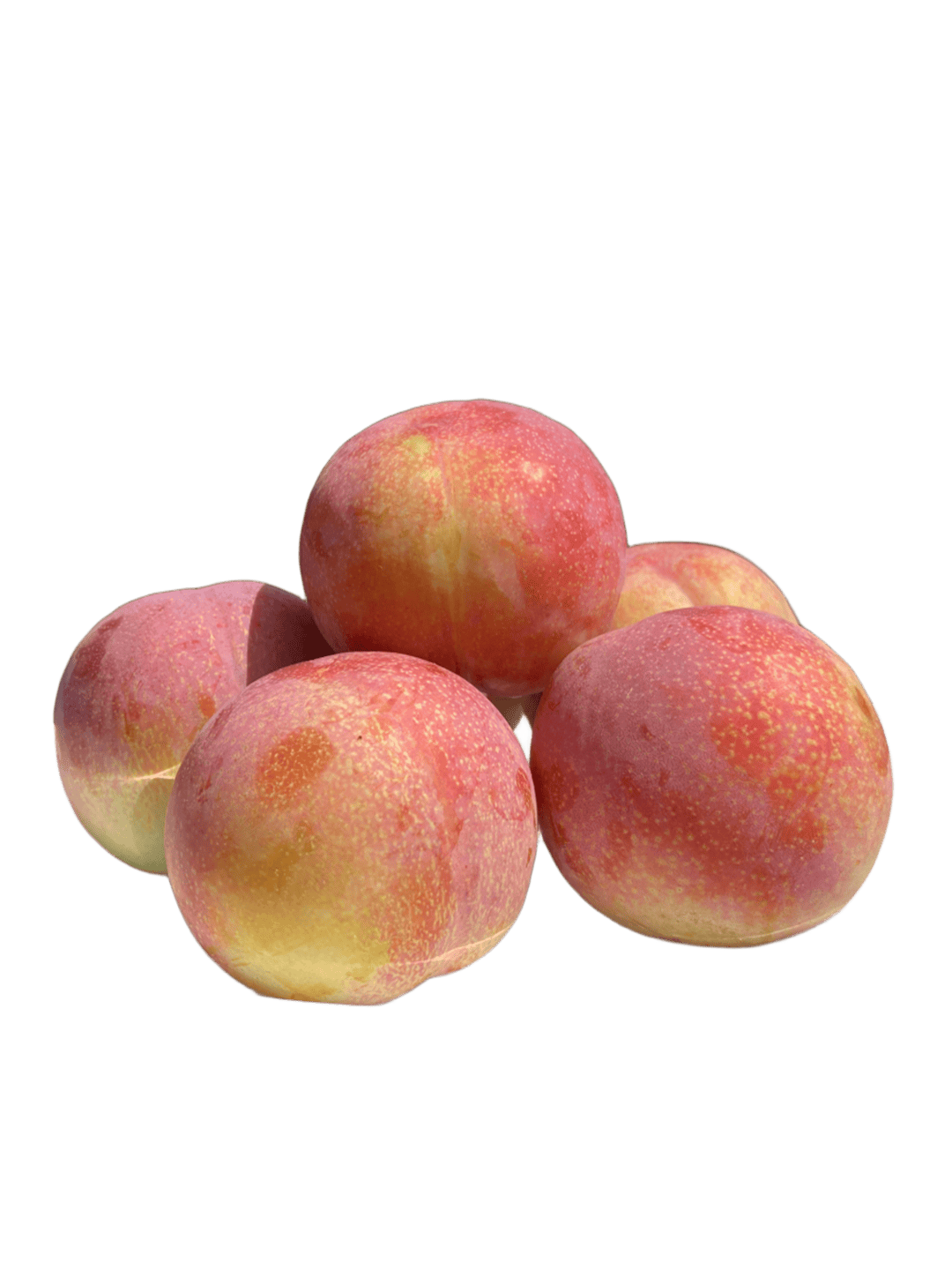 すもも サマーエンジェル 山梨