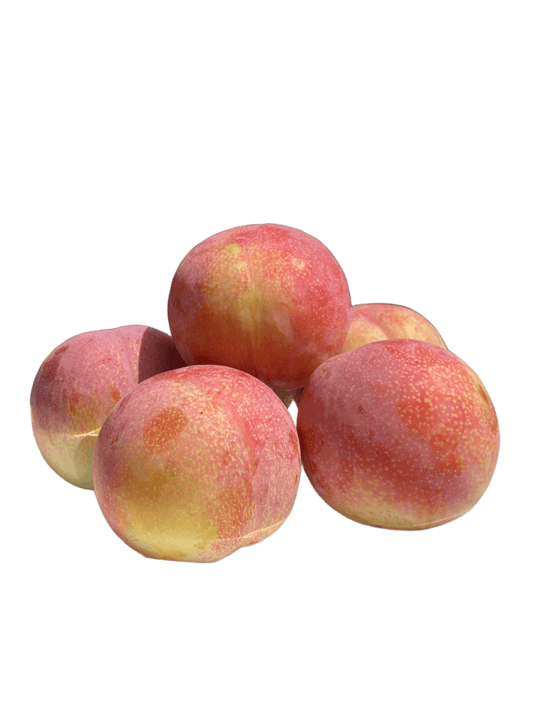 すもも サマーエンジェル 山梨