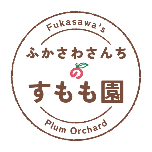 logo_color.png?v=1743216564&